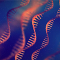 CBE Faculty Receives Two $3.3M Research Grants