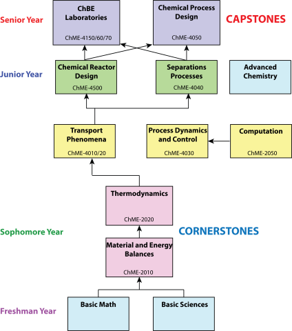 CBE Flowchart for Undergraduate Curriculum