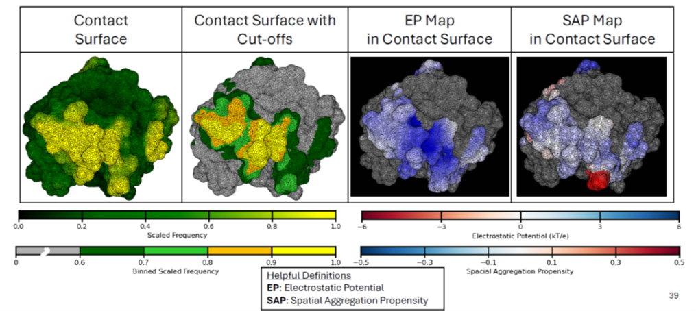 Extracting Novel Surface Property Descriptors within Predicted Protein Contact Surfaces