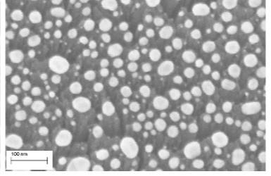 Au tipped Ti nanorod Catalytic Material