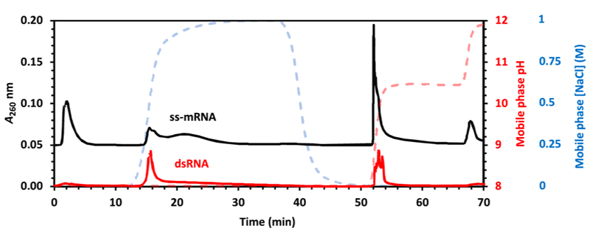mRNA Separation Process and Optimization