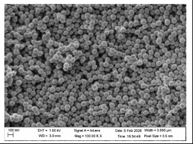Fused Microsphere Membranes